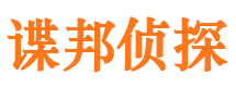 狮子山市侦探调查公司